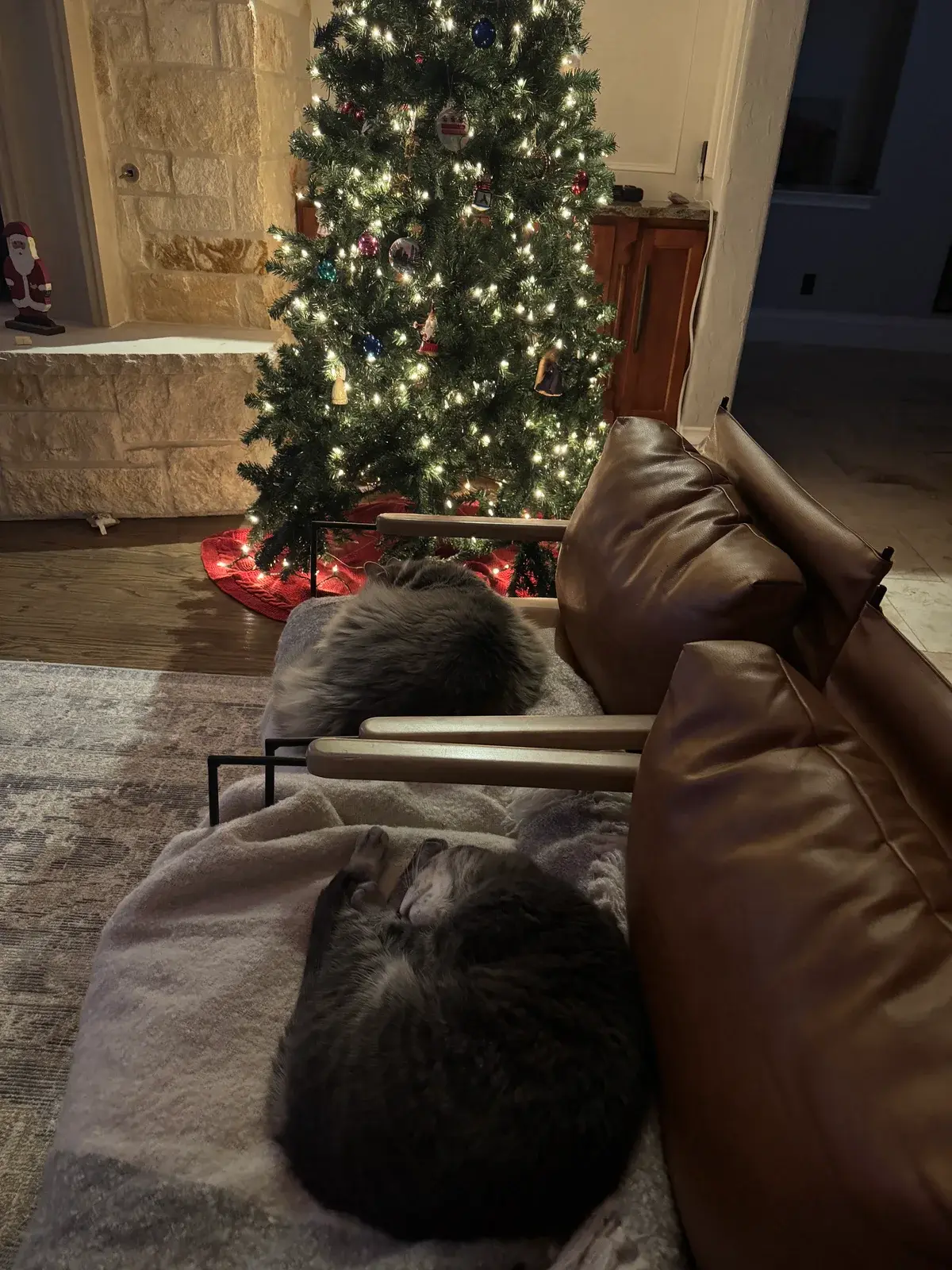 Cats relaxing beside a Christmas tree